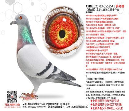 �½�ķֱ�ӡ�ֱ�OŮ  ���H����