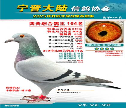 大陸特比四關(guān)鴿王164名