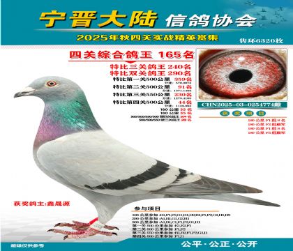 大陸特比四關(guān)鴿王165名