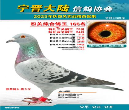 大陸特比四關(guān)鴿王166名