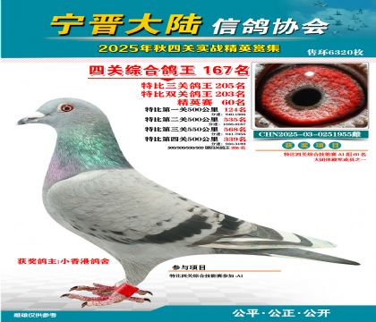 大陸特比四關(guān)鴿王167名