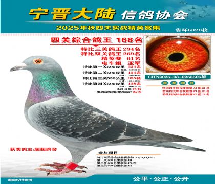 大陸特比四關(guān)鴿王168名