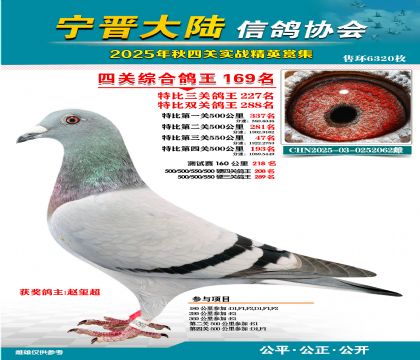 大陸特比四關(guān)鴿王169名