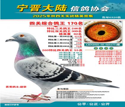大陸特比四關(guān)鴿王170名