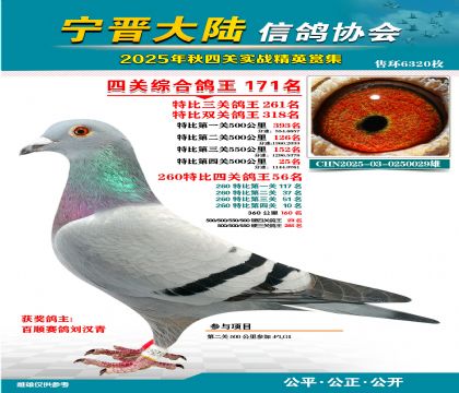 大陸特比四關(guān)鴿王171名