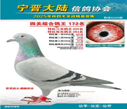 大陸特比四關(guān)鴿王172名