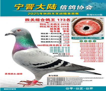 大陸特比四關(guān)鴿王173名