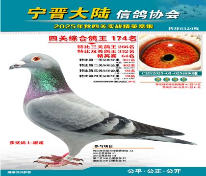 大陸特比四關(guān)鴿王174名