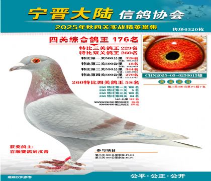 大陸特比四關(guān)鴿王176名