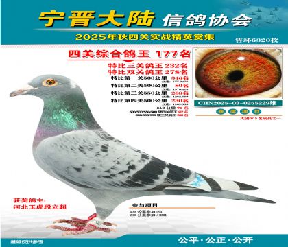 大陸特比四關(guān)鴿王177名