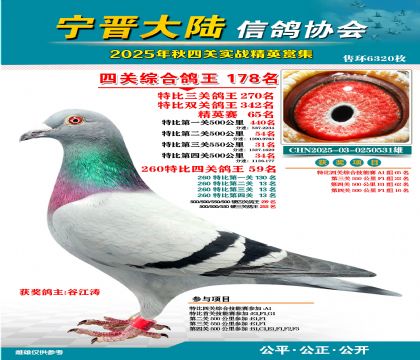 大陸特比四關(guān)鴿王178名