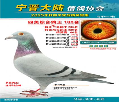 大陸特比四關(guān)鴿王180名