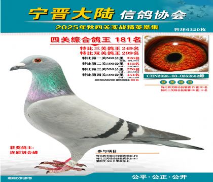 大陸特比四關(guān)鴿王181名