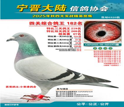 大陸特比四關(guān)鴿王182名
