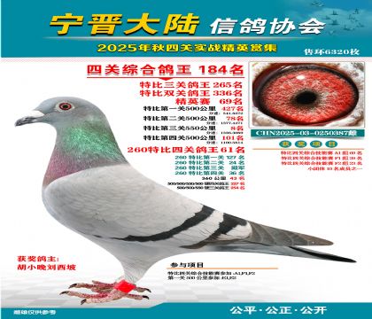 大陸特比四關(guān)鴿王184名