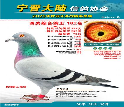 大陸特比四關(guān)鴿王185名