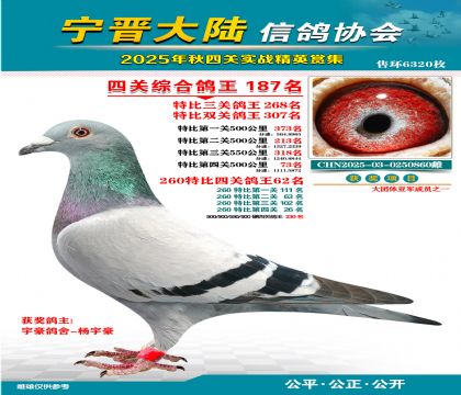 大陸特比四關(guān)鴿王187名