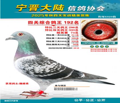 大陸特比四關(guān)鴿王192名