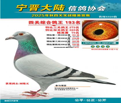 大陸特比四關(guān)鴿王193名