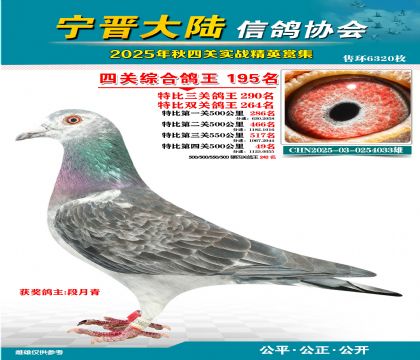 大陸特比四關(guān)鴿王195名