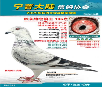 大陸特比四關(guān)鴿王196名