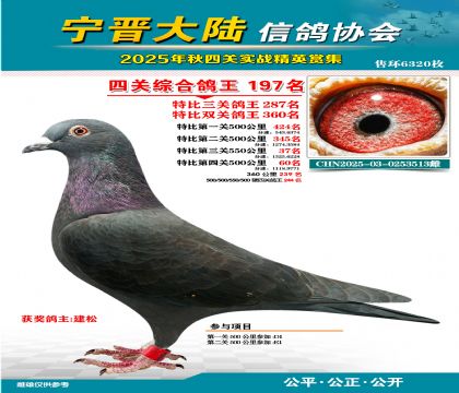 大陸特比四關(guān)鴿王197名