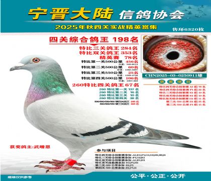 大陸特比四關(guān)鴿王198名