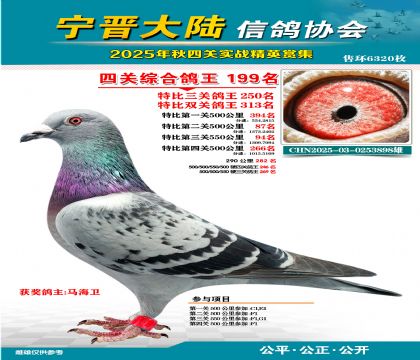 大陸特比四關(guān)鴿王199名