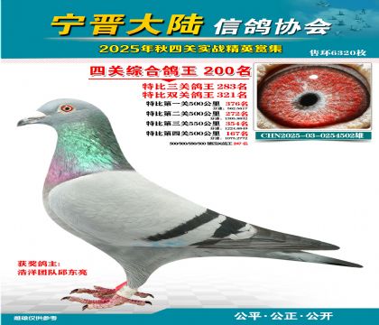 大陸特比四關(guān)鴿王200名