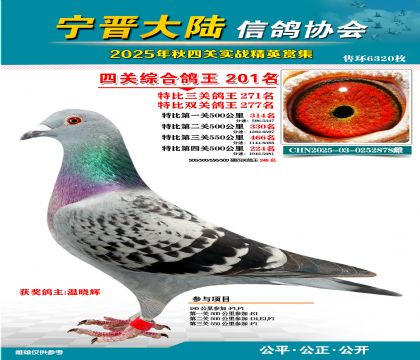大陸特比四關(guān)鴿王201名