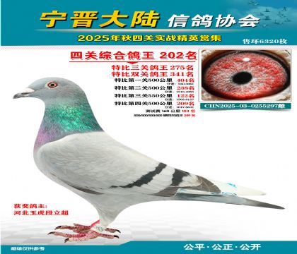 大陸特比四關(guān)鴿王202名