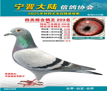 大陸特比四關(guān)鴿王203名