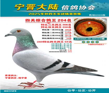 大陸特比四關(guān)鴿王204名