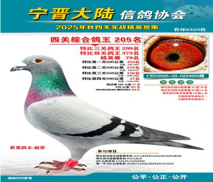 大陸特比四關(guān)鴿王205名