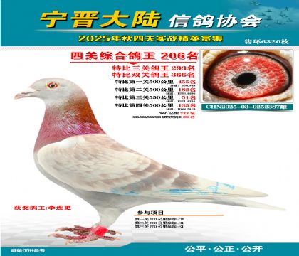 大陸特比四關(guān)鴿王206名