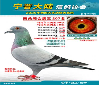 大陸特比四關(guān)鴿王207名