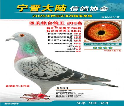 大陸特比四關(guān)鴿王208名