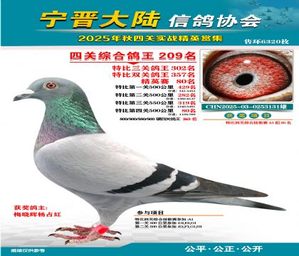 大陸特比四關(guān)鴿王209名
