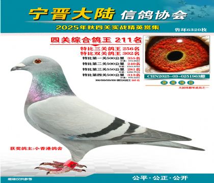 大陸特比四關(guān)鴿王211名