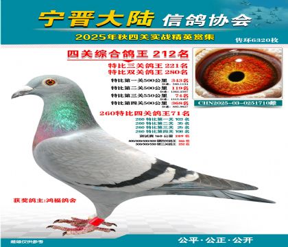 大陸特比四關(guān)鴿王212名