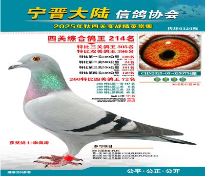 大陸特比四關(guān)鴿王214名