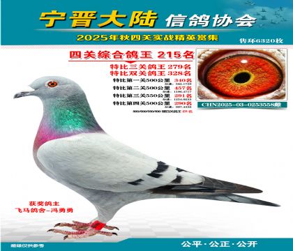 大陸特比四關(guān)鴿王215名