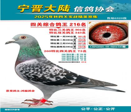 大陸特比四關(guān)鴿王216名