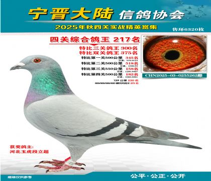 大陸特比四關(guān)鴿王217名