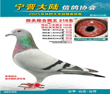 大陸特比四關(guān)鴿王218名