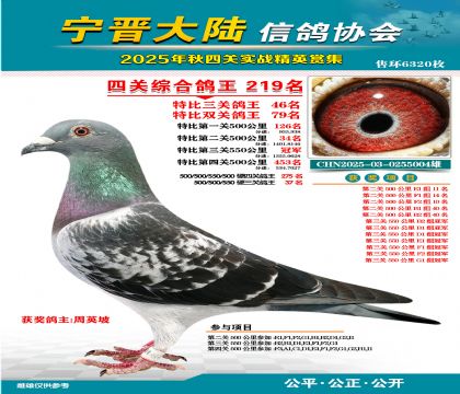 大陸特比四關(guān)鴿王219名