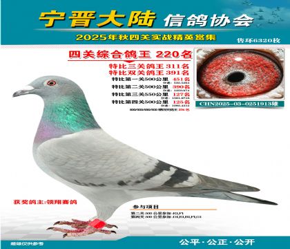 大陸特比四關(guān)鴿王220名