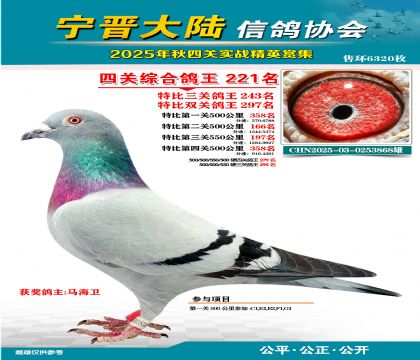 大陸特比四關(guān)鴿王221名