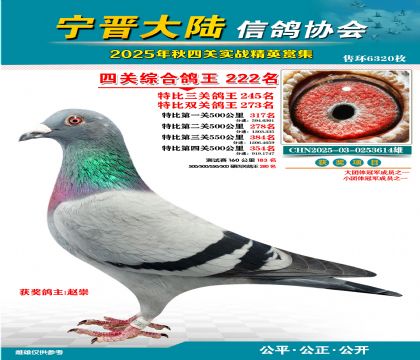 大陸特比四關(guān)鴿王222名