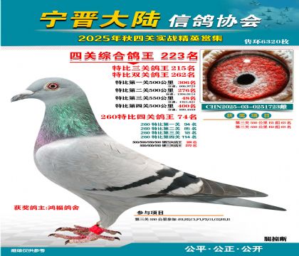 大陸特比四關(guān)鴿王223名